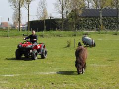 E-Streetquad 20150416_000005.JPG